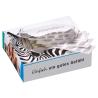 Cardboard dispenser box to be filled with 20 to 200 promotional wound plasters